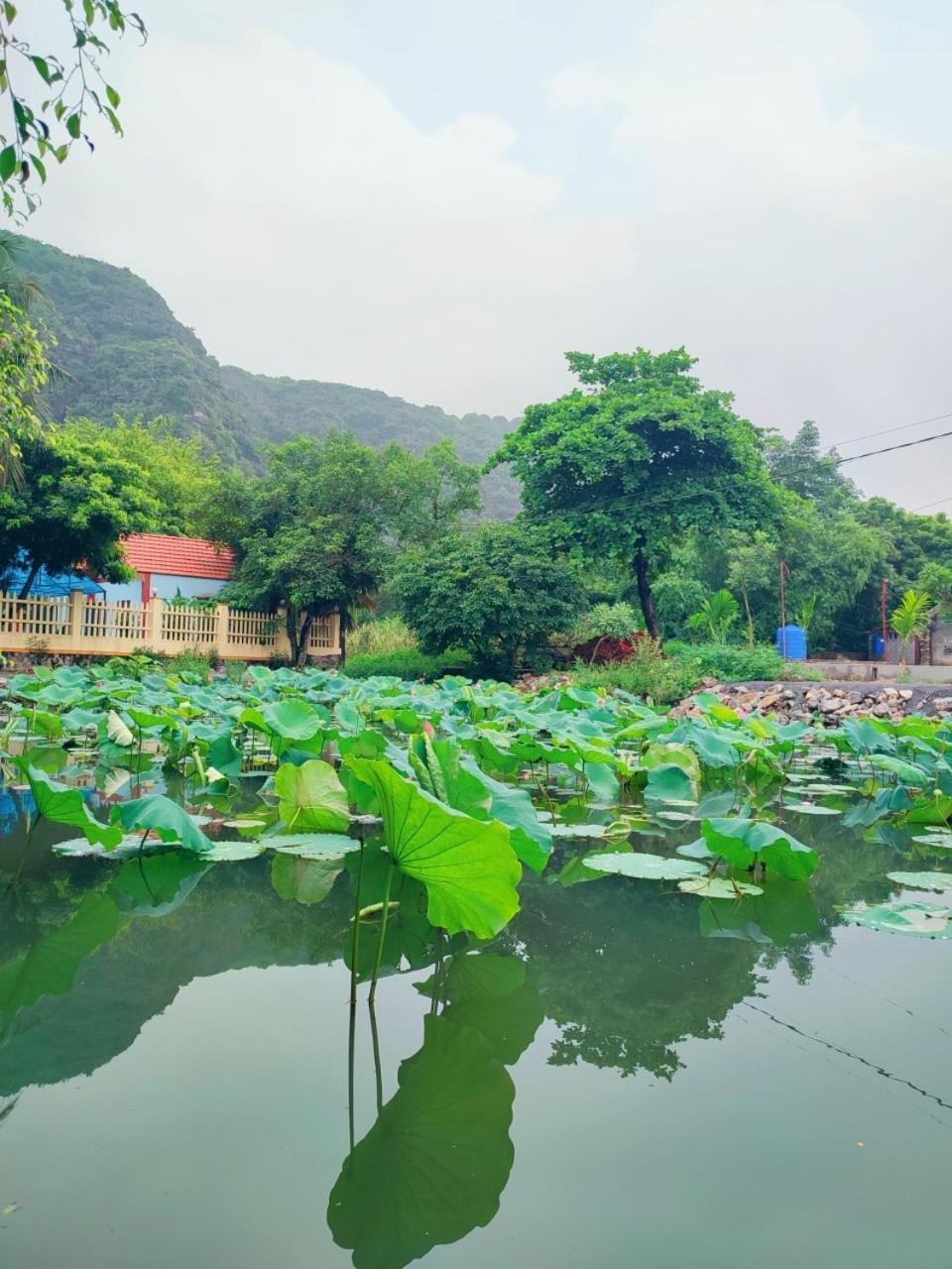 Trang An Natural Mountainside Homestay Ninh Binh Zewnętrze zdjęcie