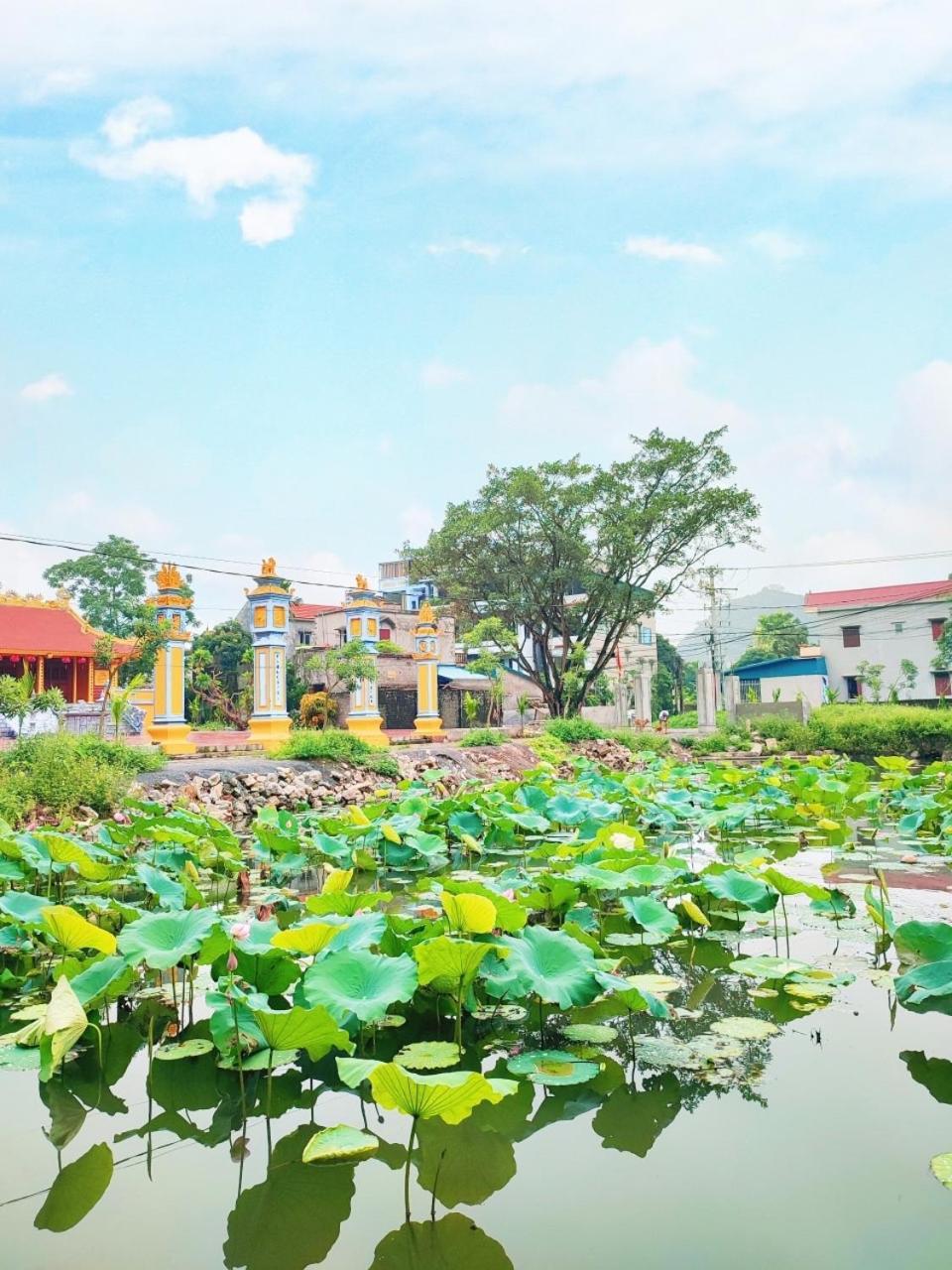 Trang An Natural Mountainside Homestay Ninh Binh Zewnętrze zdjęcie