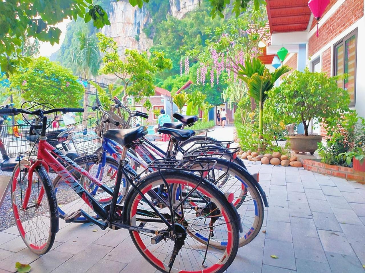 Trang An Natural Mountainside Homestay Ninh Binh Zewnętrze zdjęcie
