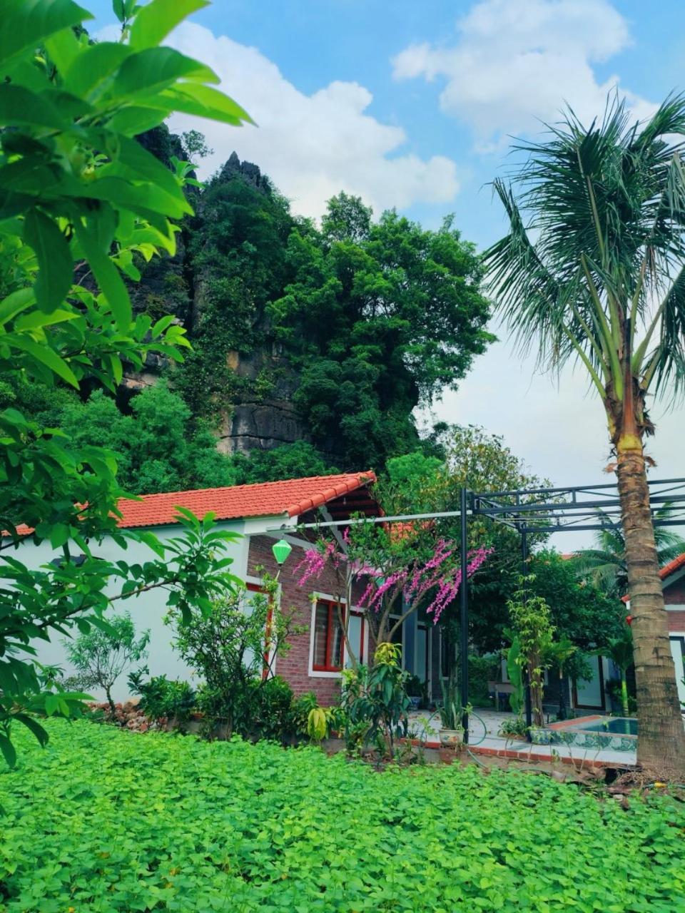 Trang An Natural Mountainside Homestay Ninh Binh Zewnętrze zdjęcie