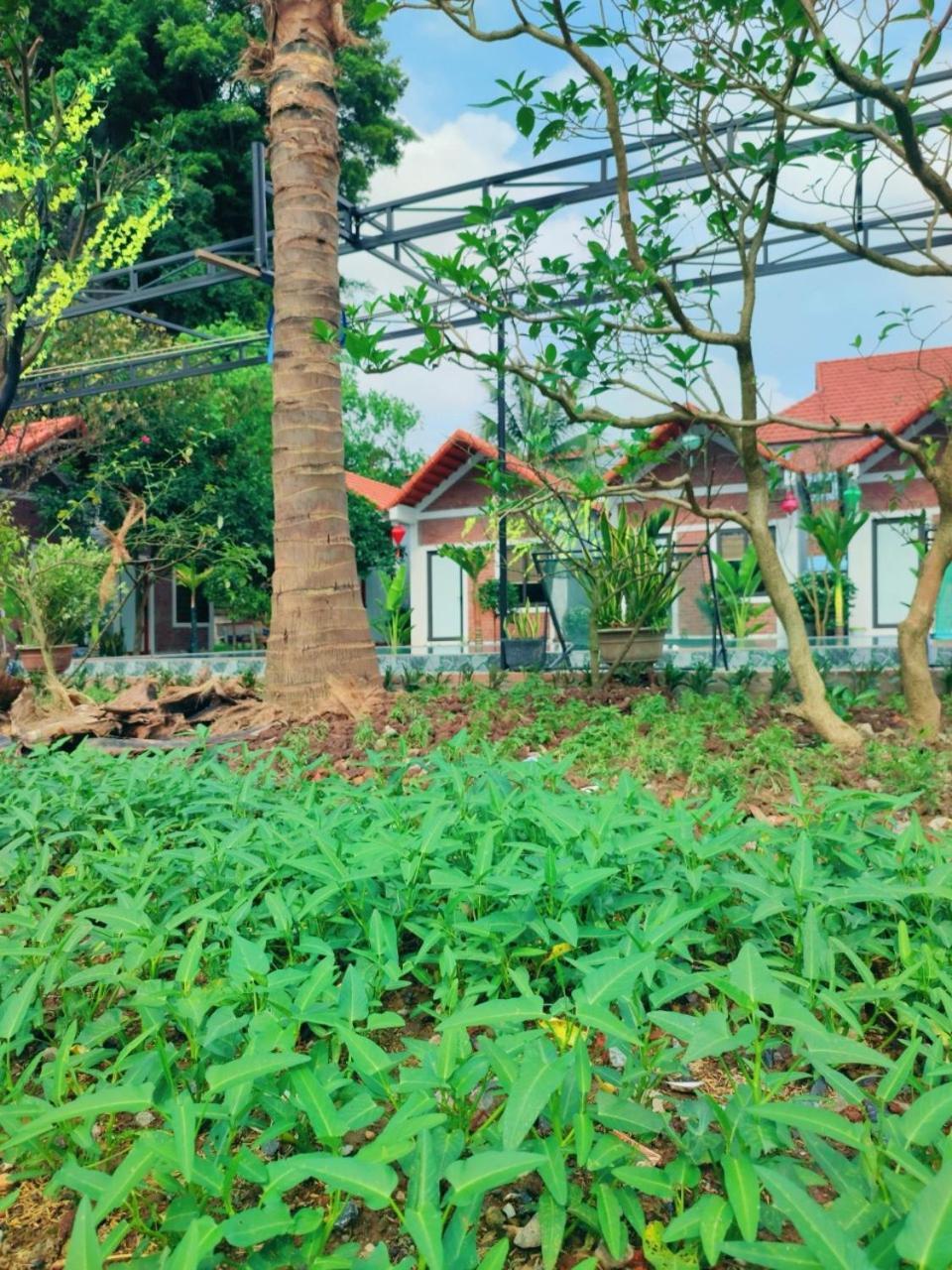 Trang An Natural Mountainside Homestay Ninh Binh Zewnętrze zdjęcie
