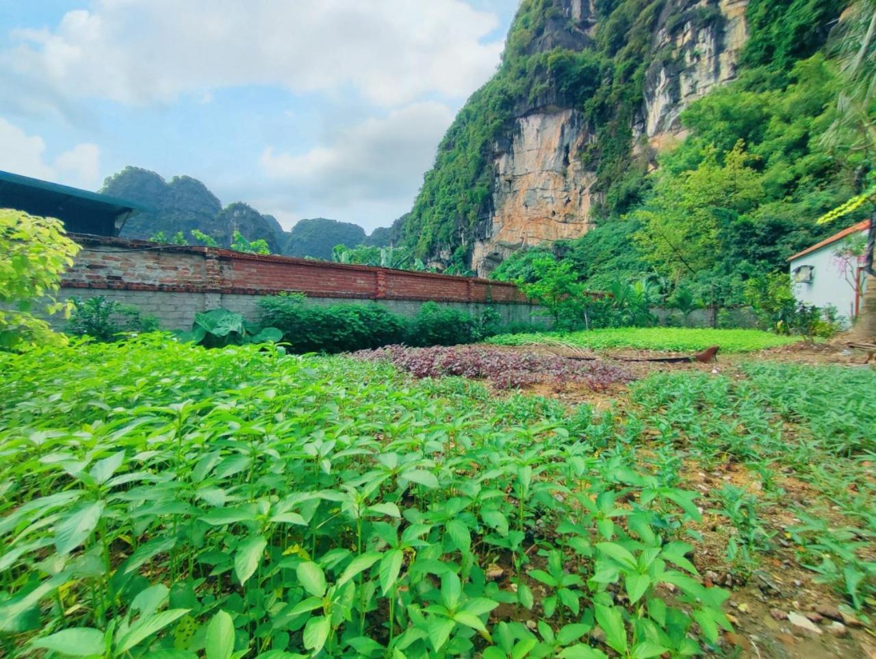 Trang An Natural Mountainside Homestay Ninh Binh Zewnętrze zdjęcie
