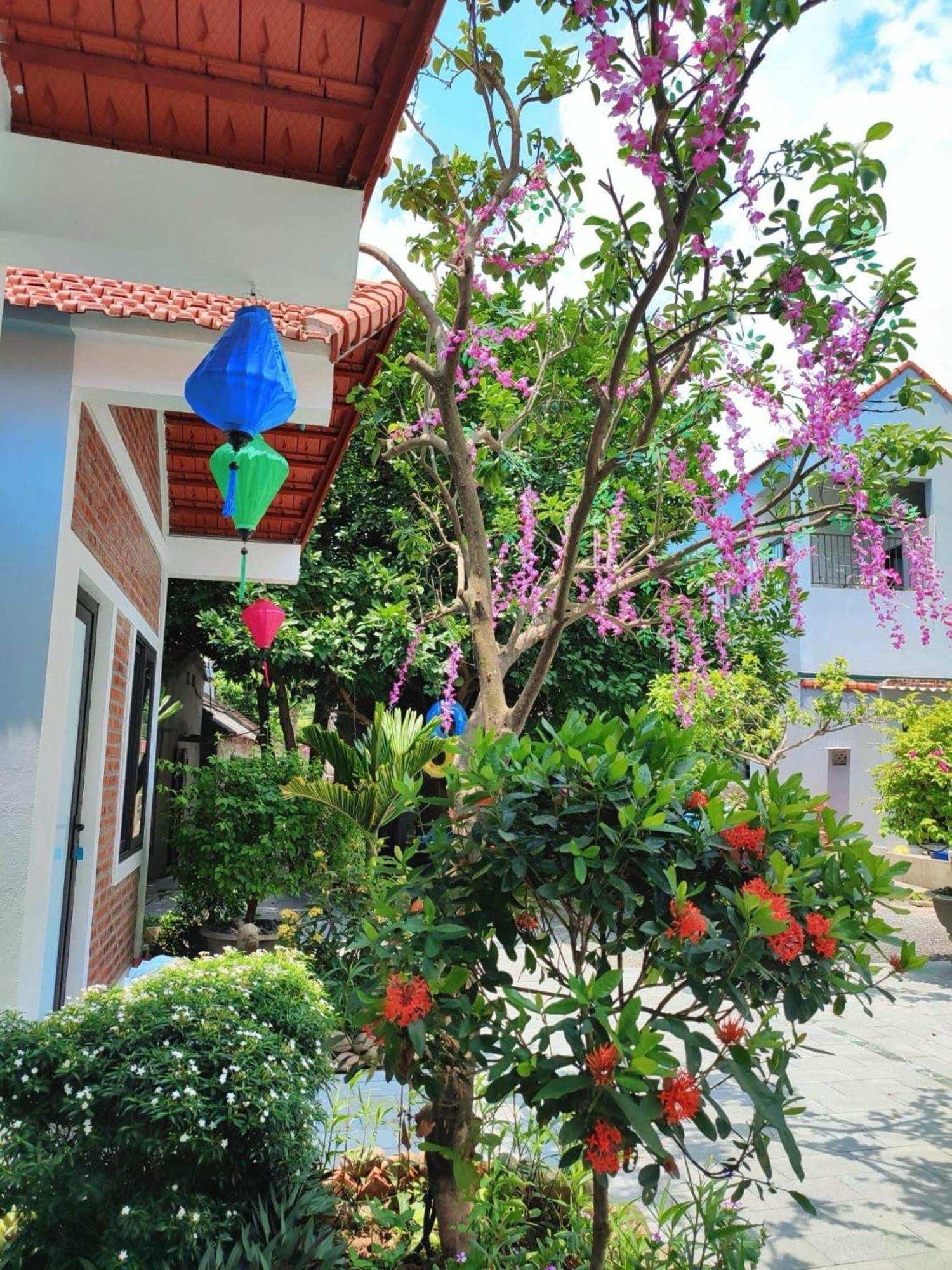 Trang An Natural Mountainside Homestay Ninh Binh Zewnętrze zdjęcie